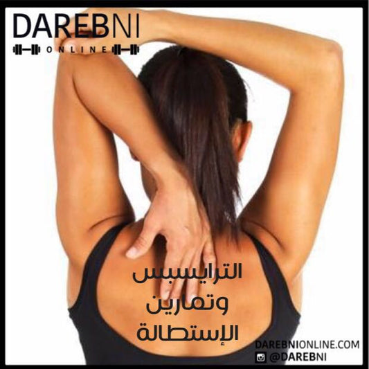الترايسبس وتمارين الإستطالة