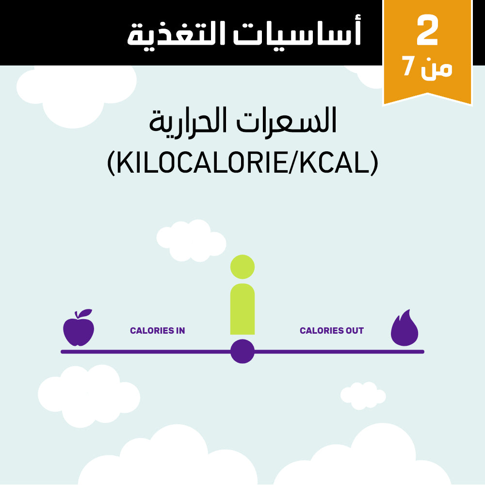أساسيات التغذية 2