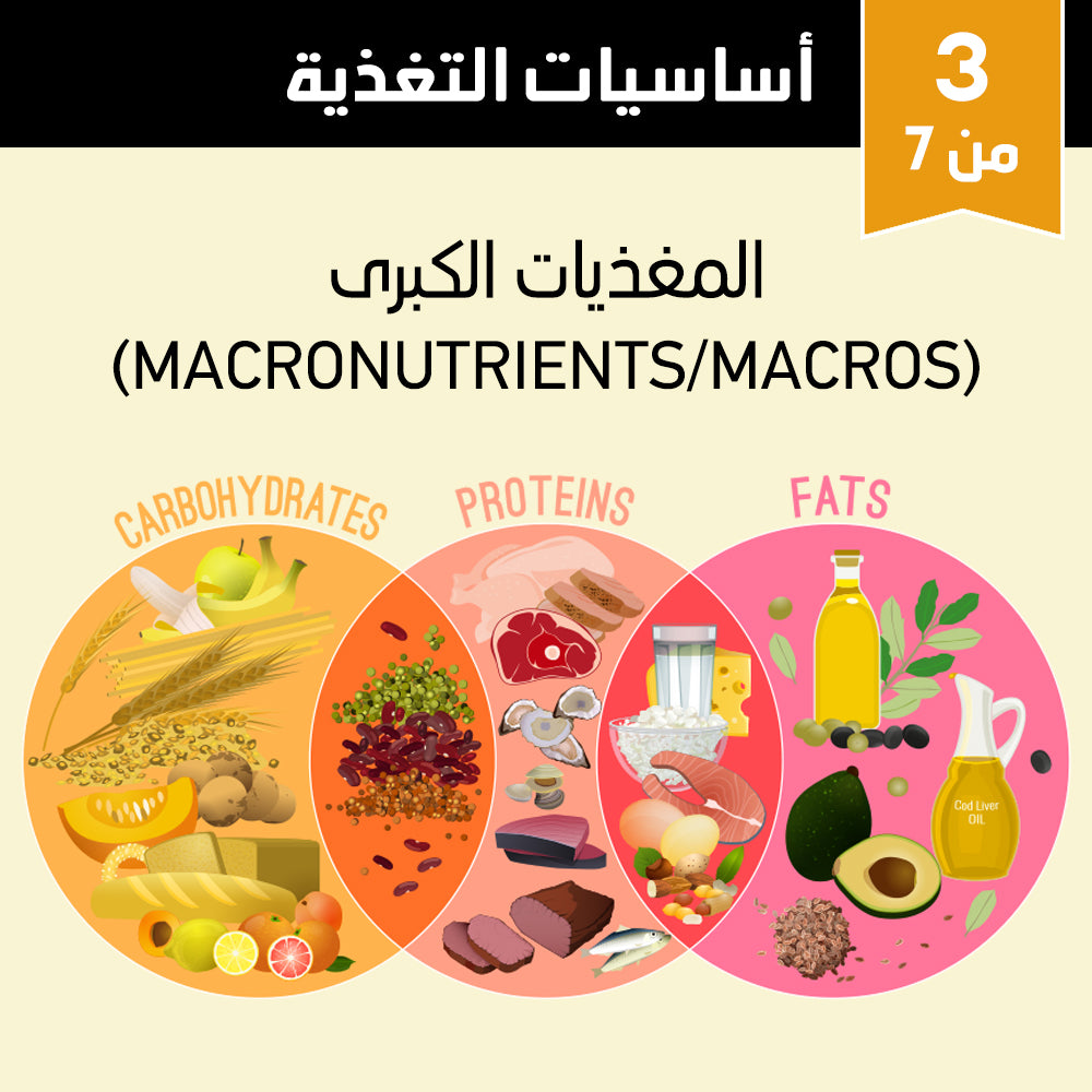 أساسيات التغذية 3