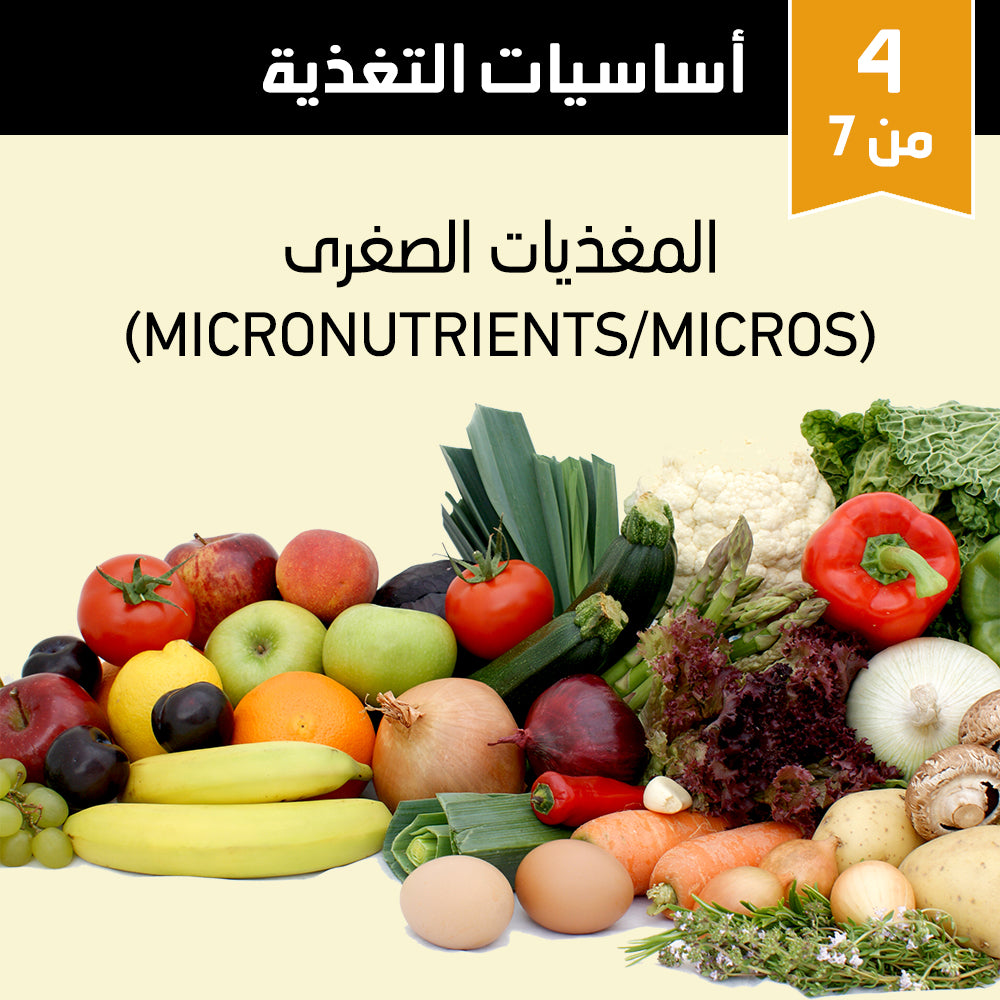 أساسيات التغذية 4