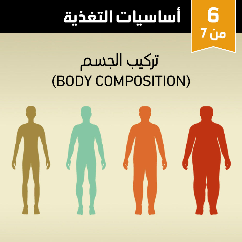 أساسيات التغذية 6